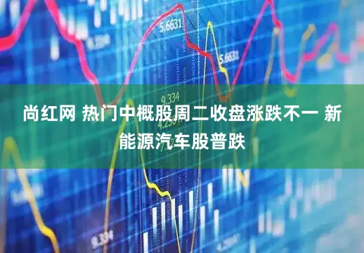 尚红网 热门中概股周二收盘涨跌不一 新能源汽车股普跌