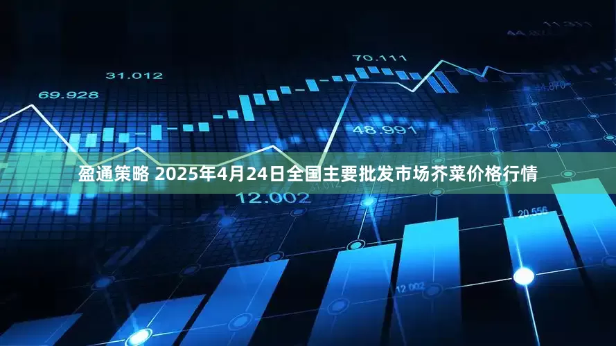 盈通策略 2025年4月24日全国主要批发市场芥菜价格行情