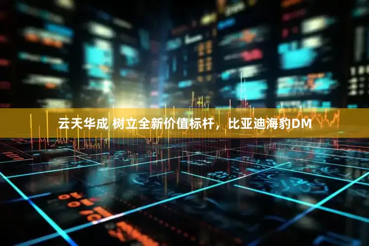 云天华成 树立全新价值标杆，比亚迪海豹DM