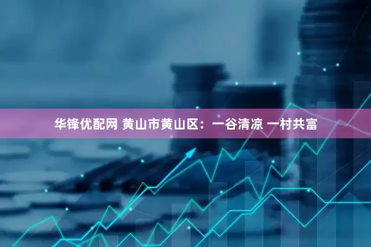 华锋优配网 黄山市黄山区：一谷清凉 一村共富